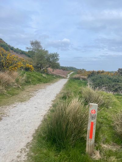 The gorse-lined path after Winchelsea, heading towards Rye