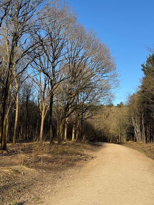 Abbot’s Wood, Polegate