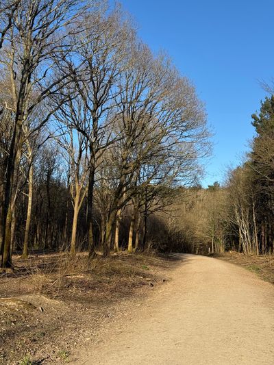 Abbot's Wood