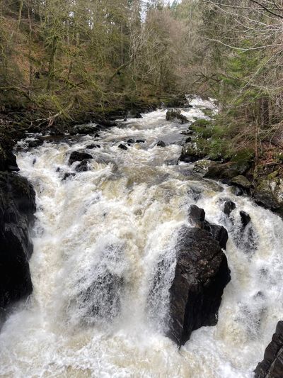Overlooking the Black Linn Falls from Ossian's Hall