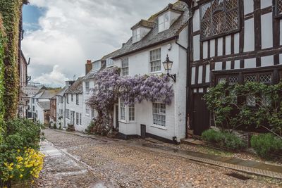 Wisteria on Mermaid Street