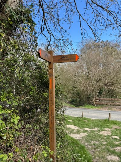 Orange signposts guide you along the route