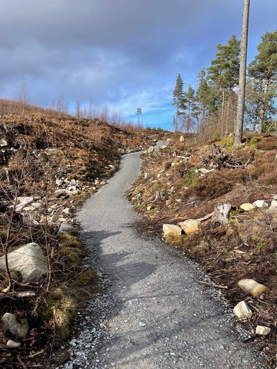 A steep section of path around the halfway mark of the route