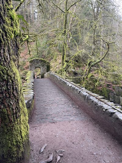 The characterful bridge beside Ossian's Hall