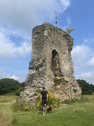 The ruins of Knepp Castle