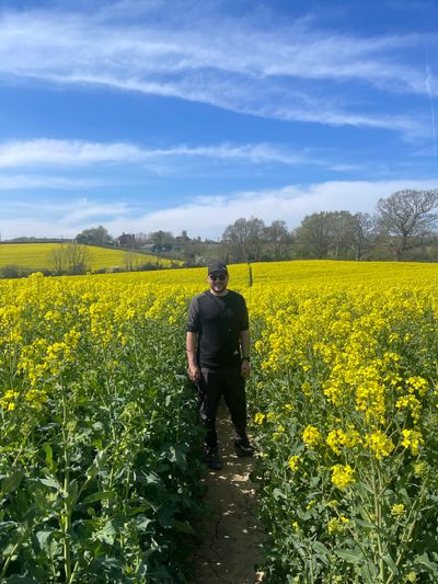 Rapeseed fields at Westfield