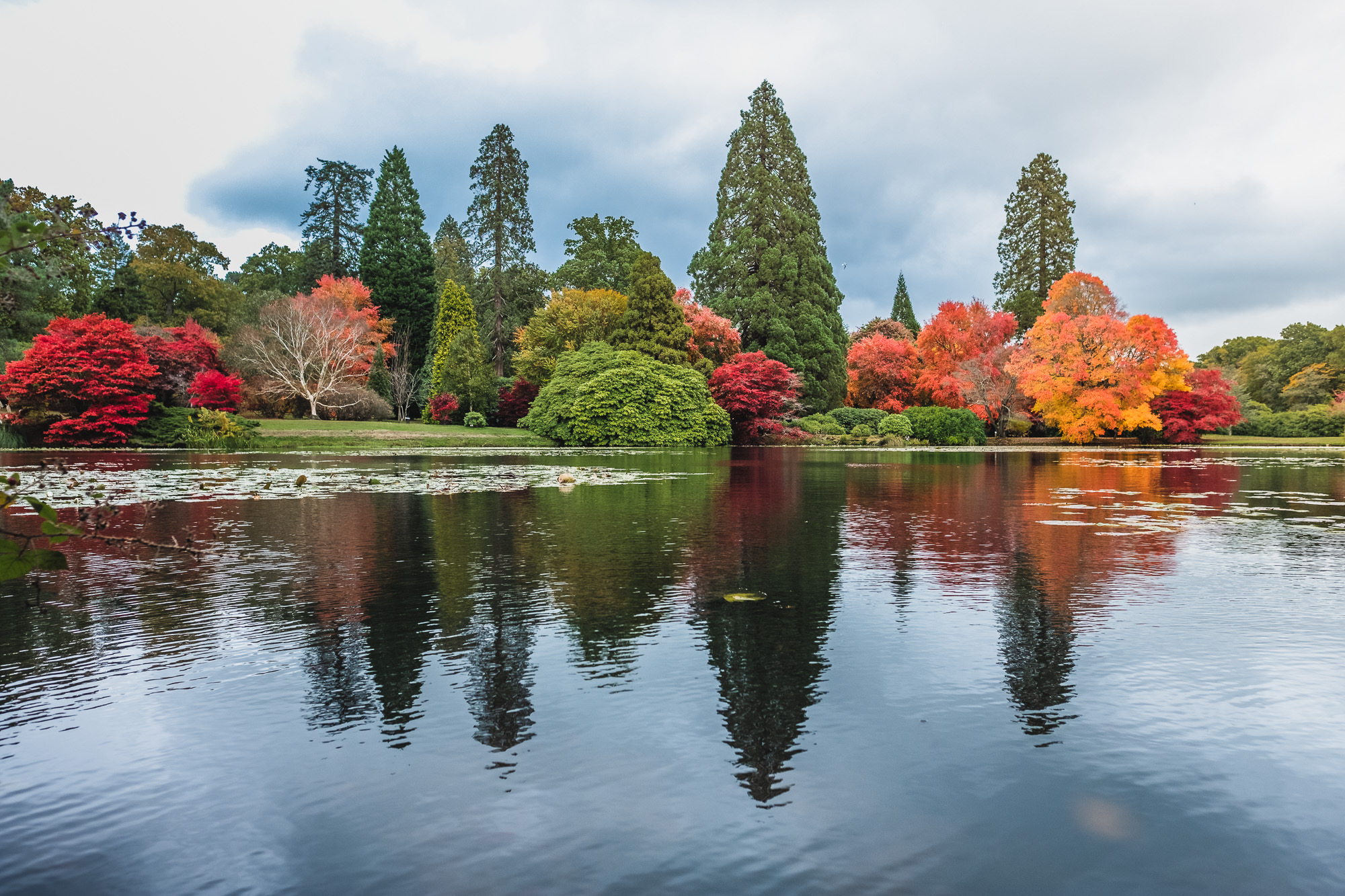 Amazing autumn walks at the National Trust  Chris & Suze Go Walkies