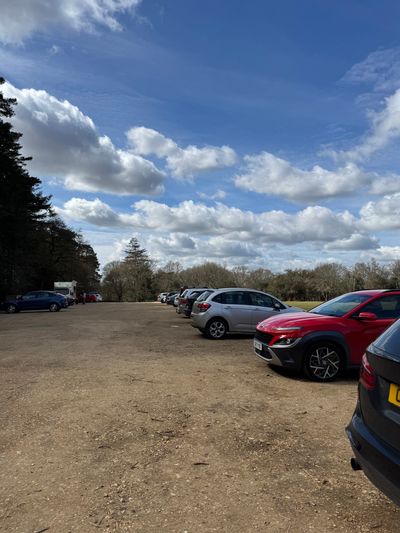 The car park at Bolderwood, with Trailside Cafe coffee van