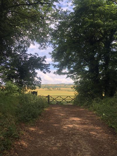 Cirencester Park