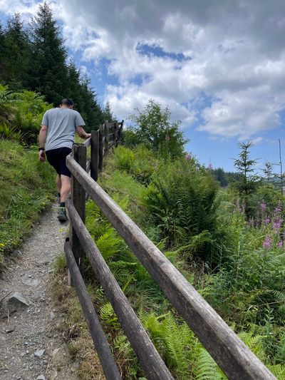 A short, sharp incline to and from the bridge overlooking the waterfall