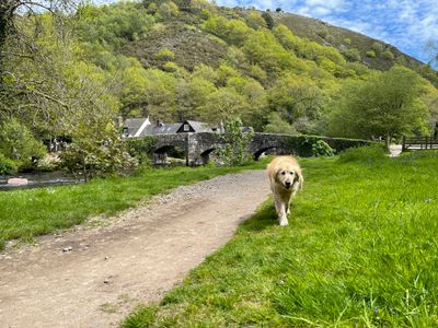 Fingle Bridge, with the Fingle Bridge Inn just behind