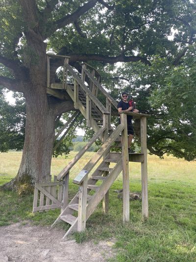 The treehouse on the orange route at Knepp Rewilding Project