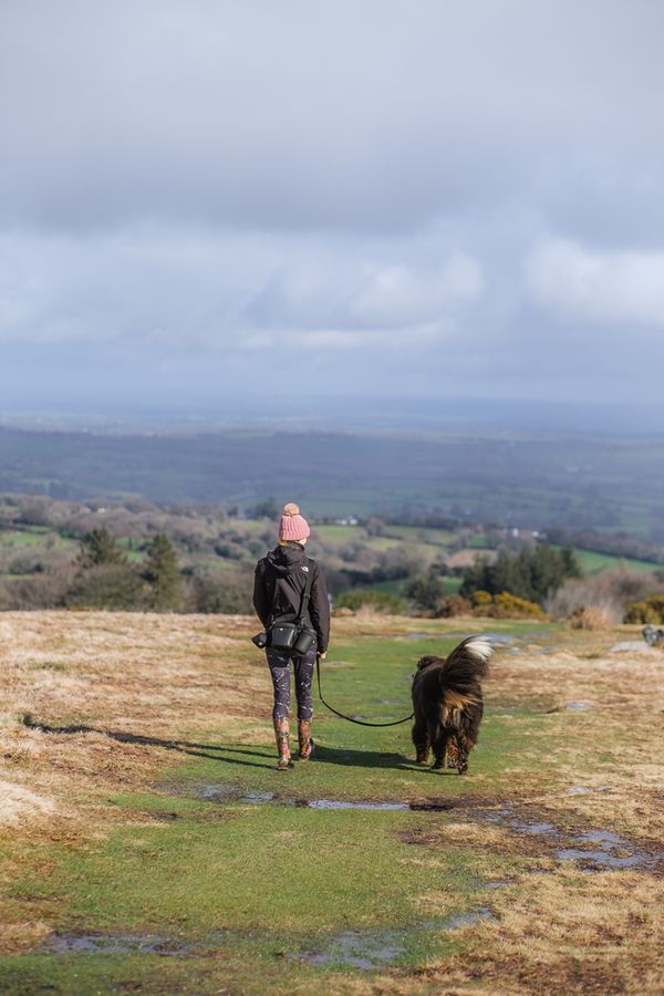 Scorhill and Gidleigh loop