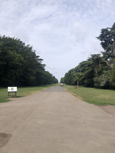 Cirencester Park