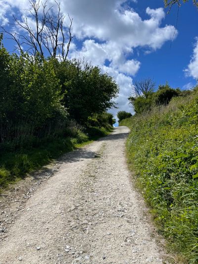 One steep ascent as you make your way to Bignor Hill