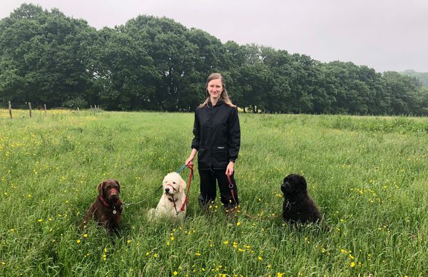 May/June – Two weeks in Rotherfield