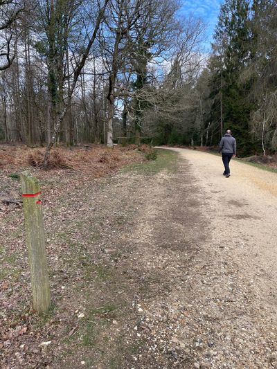 The route is well signposted with red markers